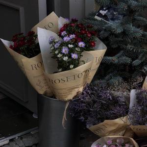 午夜福利午夜福利
